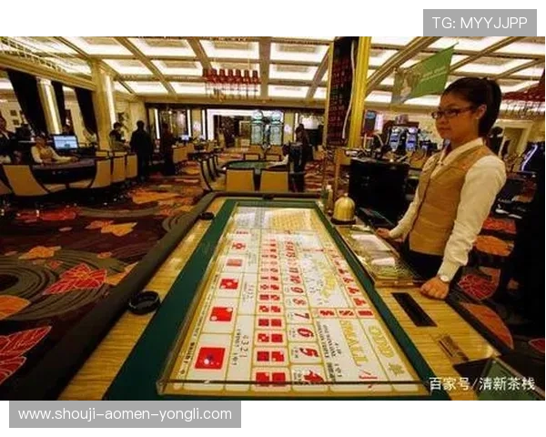 澳门十大博彩平台用户评价与口碑分析，了解真实玩家的使用体验与建议